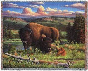 buffalo nation