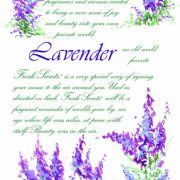 lavender