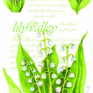 lily of the valley