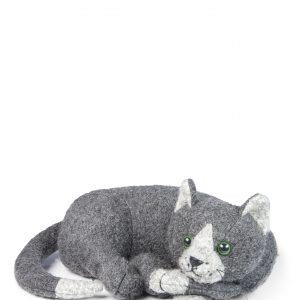 Cocoa cat