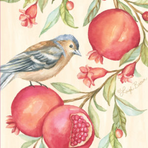 pomegranate