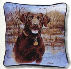 chocolate lab