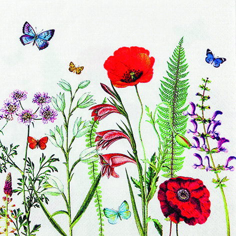 meadow in bloom