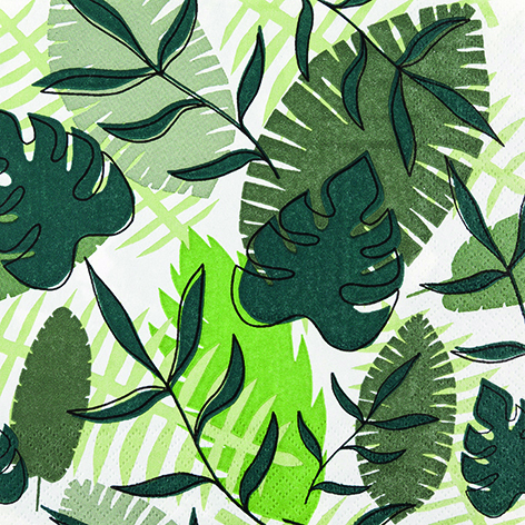 tropical leaves