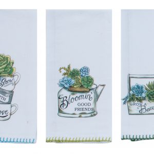 garden succulents
