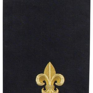 fleur de lys