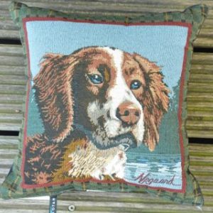 spaniel