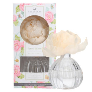 peony bloom