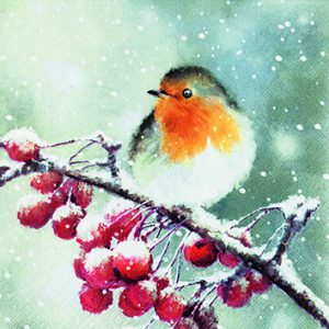 hello robin