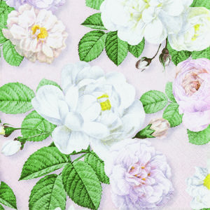La Rosa rose