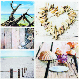 maritim still life