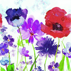 meadow of flowers