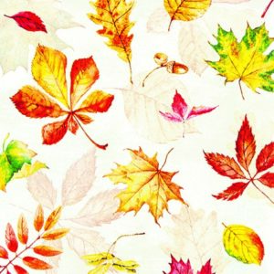 scattered foliage