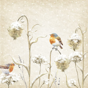 robin in thirstle