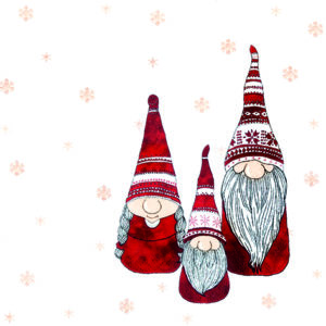 tomte / gnomes