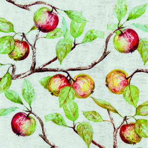 apple branches