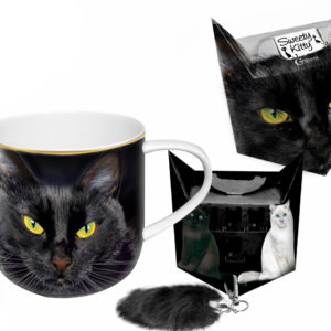black cat