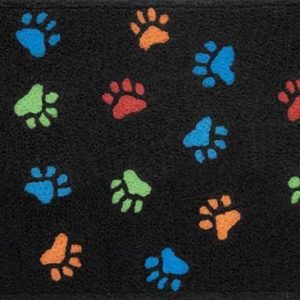 paws & bones