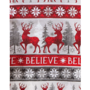 snowed in - believe