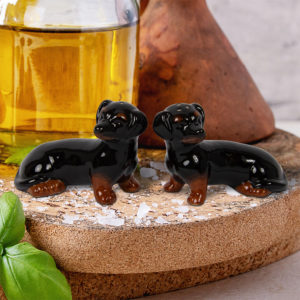 dachshund