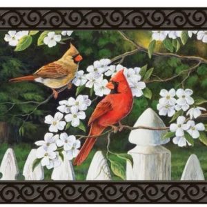 dogwood cardinal
