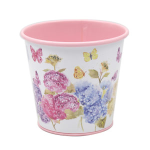 butterfly blossom