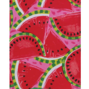 summer fun - watermelon