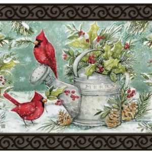 winter watering can