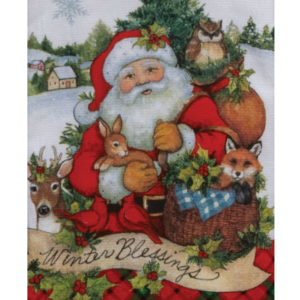 home for Christmas  - Santa