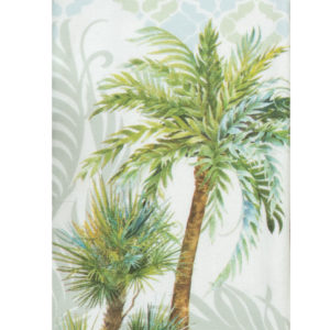 palm cove - trees