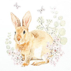Rosie rabbit