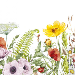 field of flowers