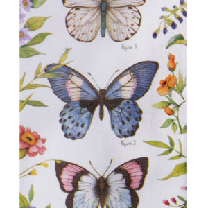 garden walk - butterfly