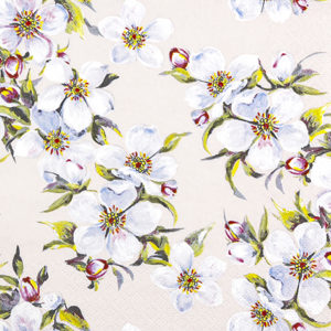 Spring bloom