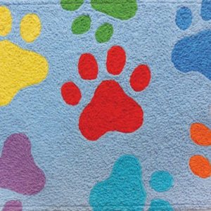 colorful paws