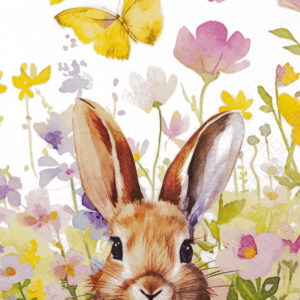 bunny in meadow