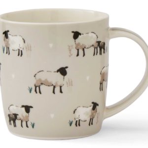 highland sheep