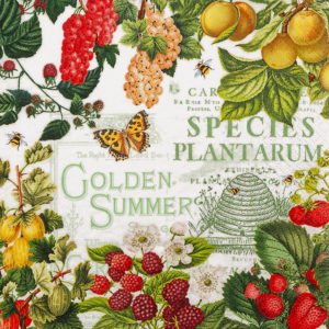 summer fruit