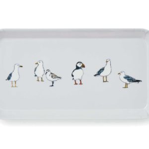 coastal birds