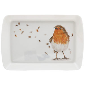 British birds - robin