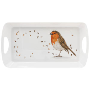 British  birds - robin